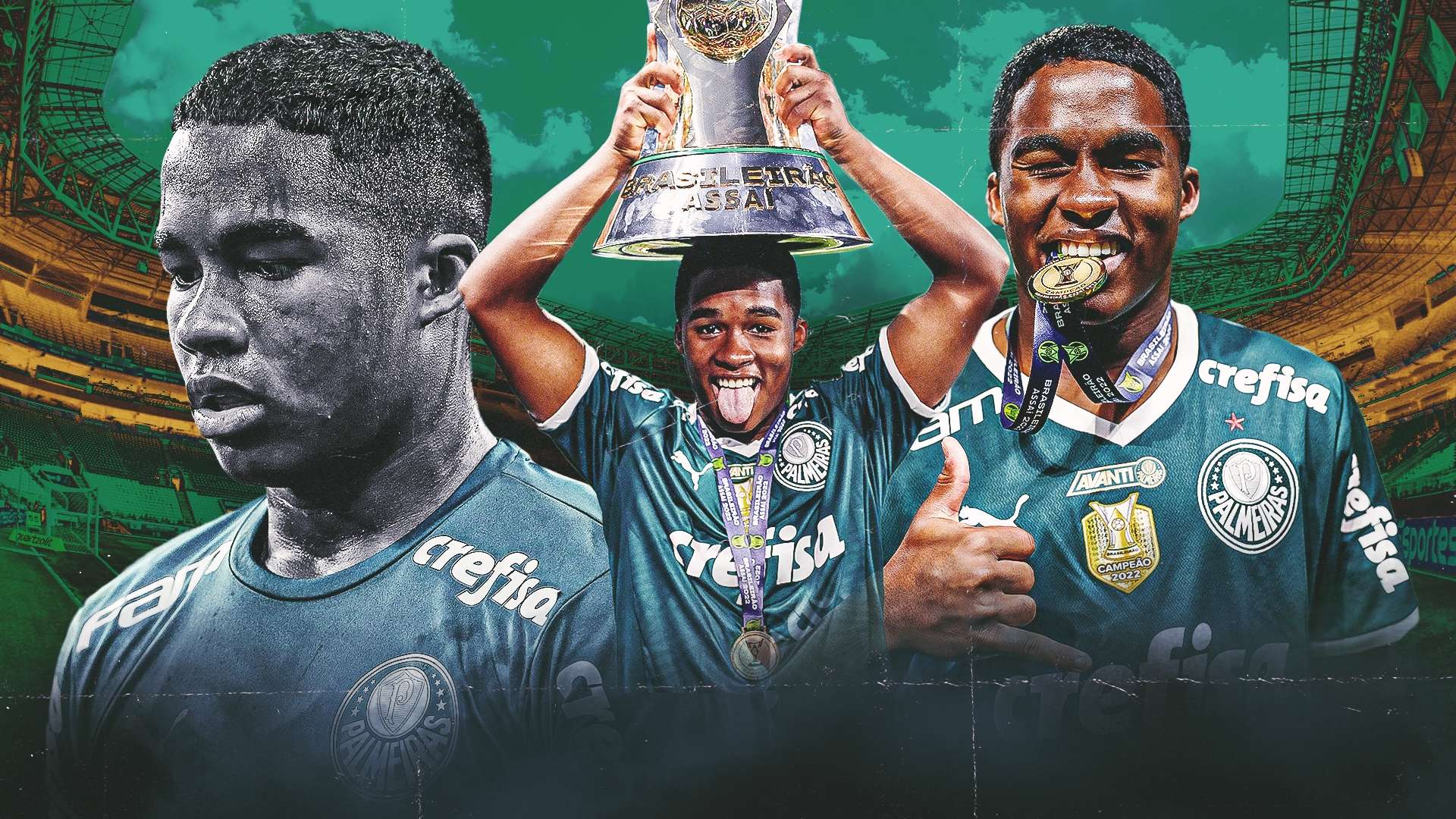 维乐福蔗糖铁的价格及其独特优点全面解析